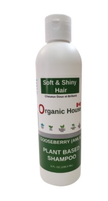 Plant Based Shampoo - Gooseberry (Amla)